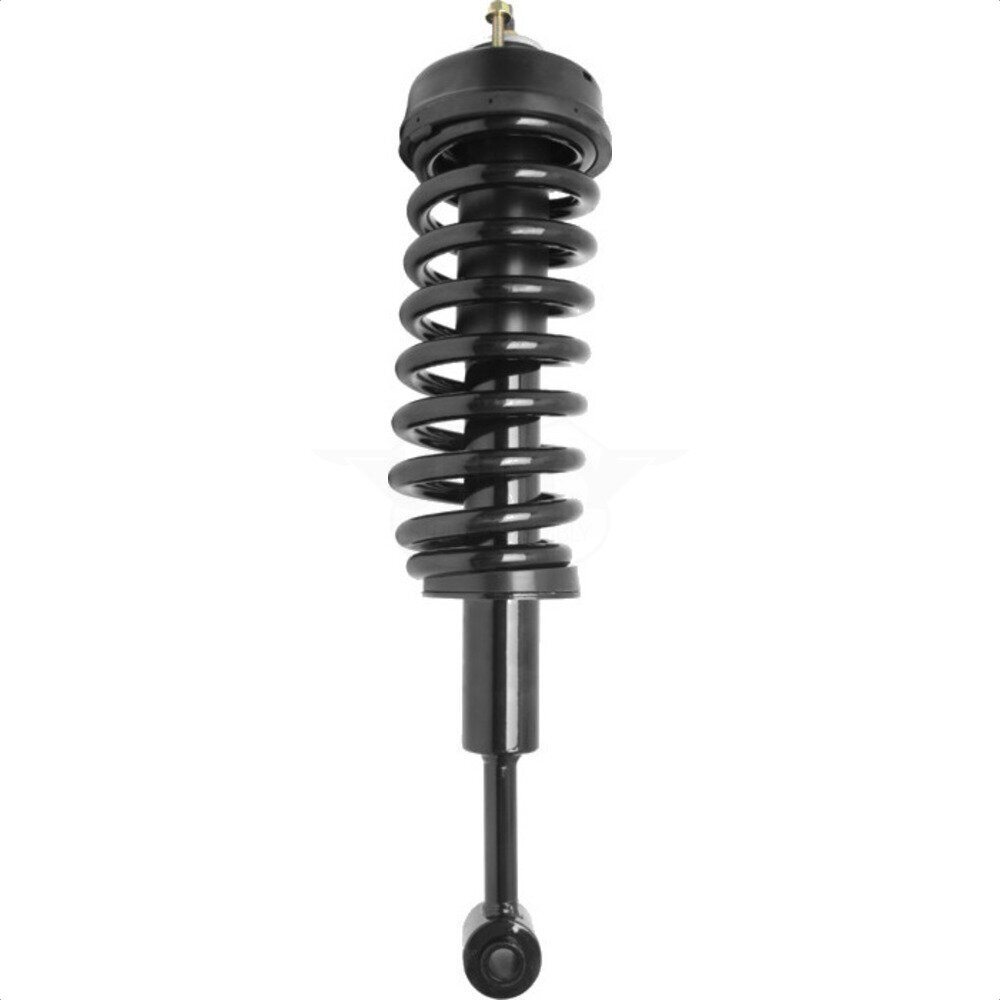 Suspension Strut Coil Spring Assembly
