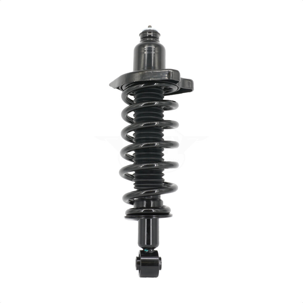 Suspension Strut Coil Spring Assembly