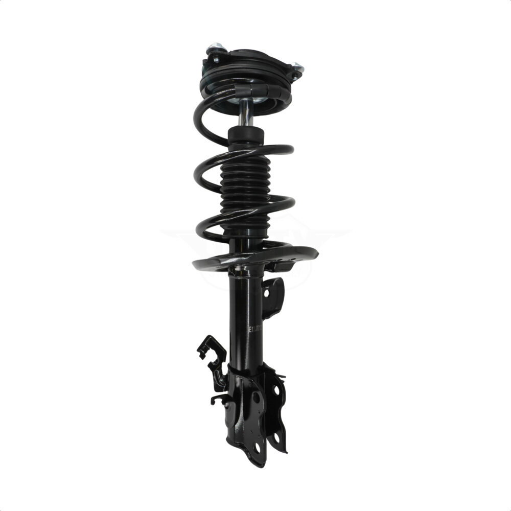 Suspension Strut Coil Spring Assembly