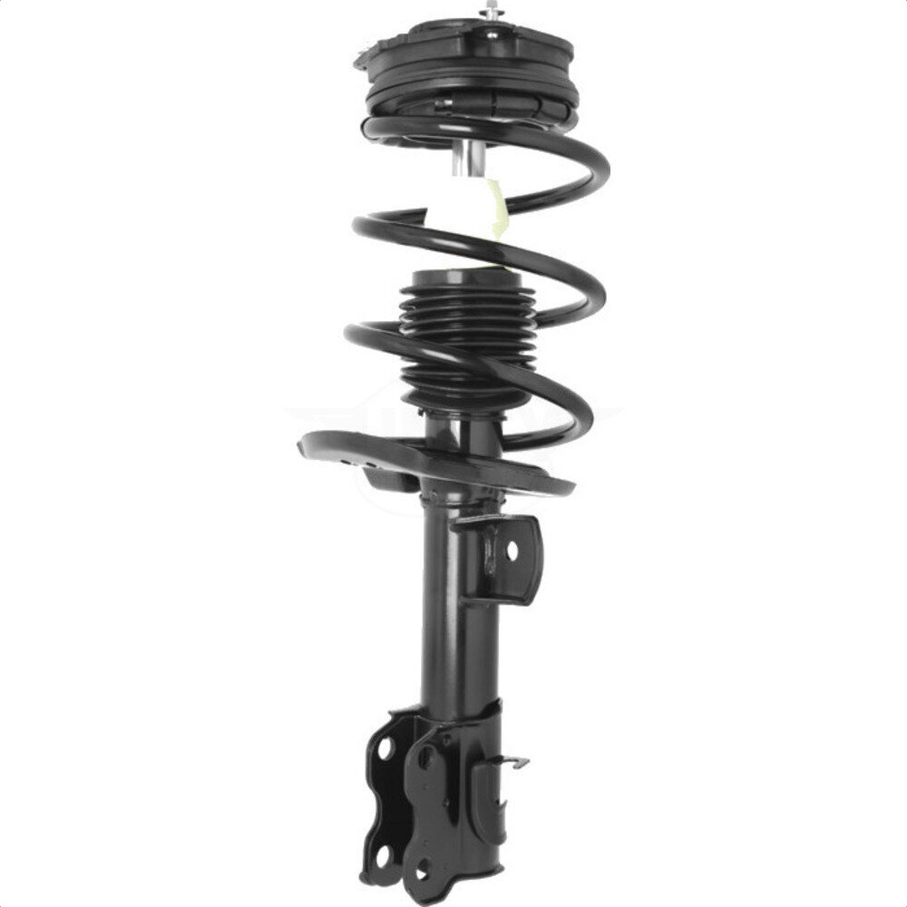 Suspension Strut Coil Spring Assembly