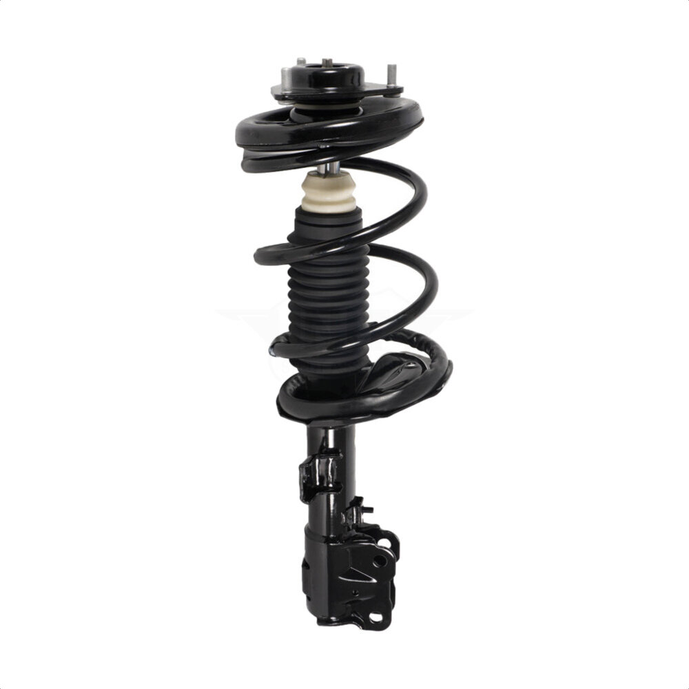 Suspension Strut Coil Spring Assembly