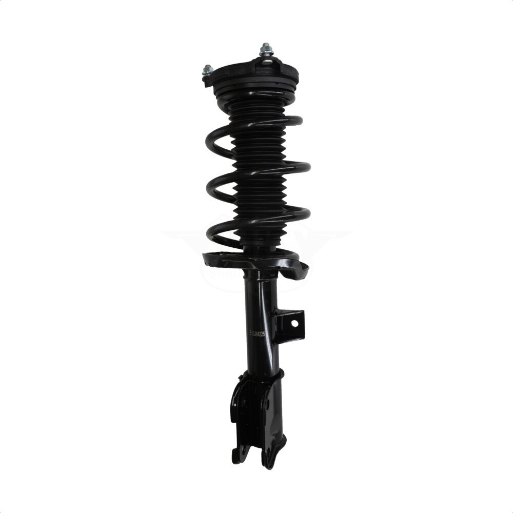 Suspension Strut Coil Spring Assembly