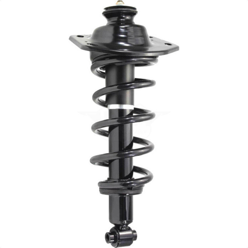 Suspension Strut Coil Spring Assembly