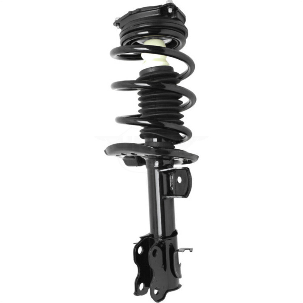 Suspension Strut Coil Spring Assembly