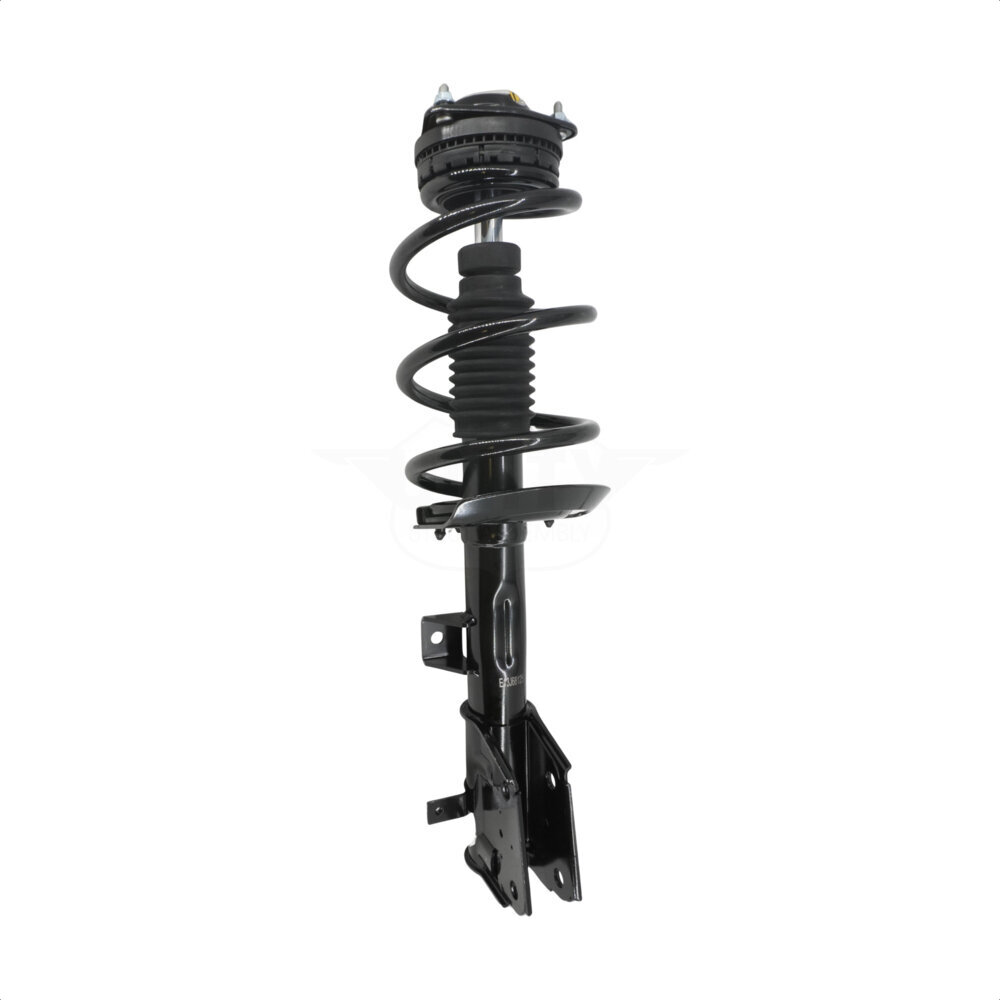 Suspension Strut Coil Spring Assembly
