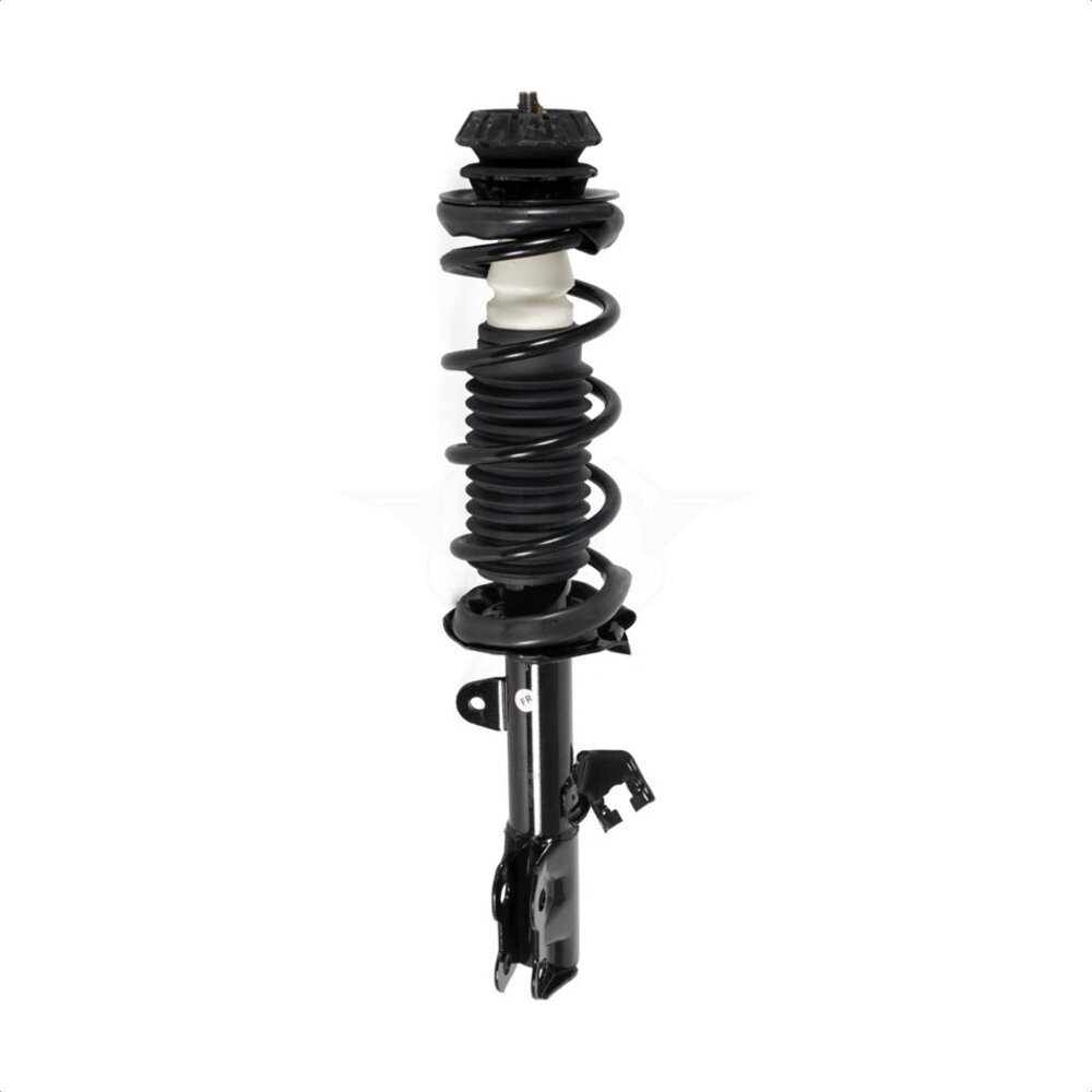Suspension Strut Coil Spring Assembly