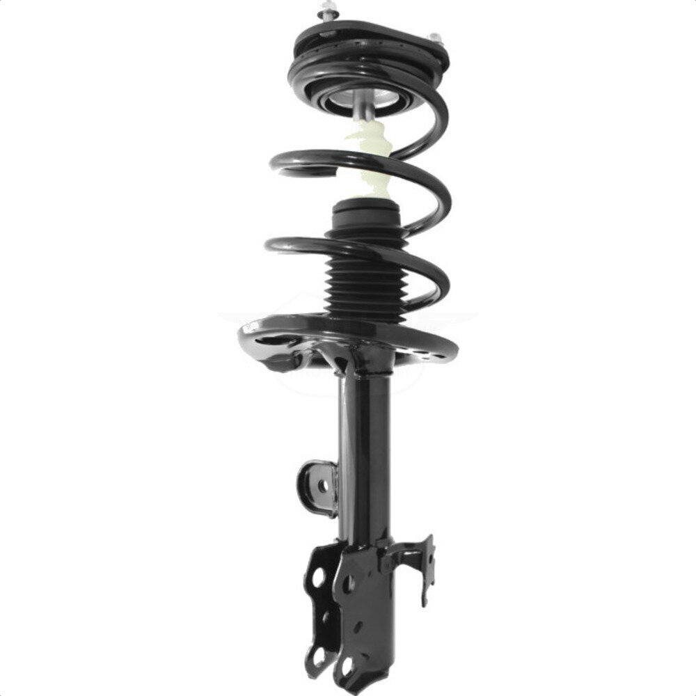 Suspension Strut Coil Spring Assembly