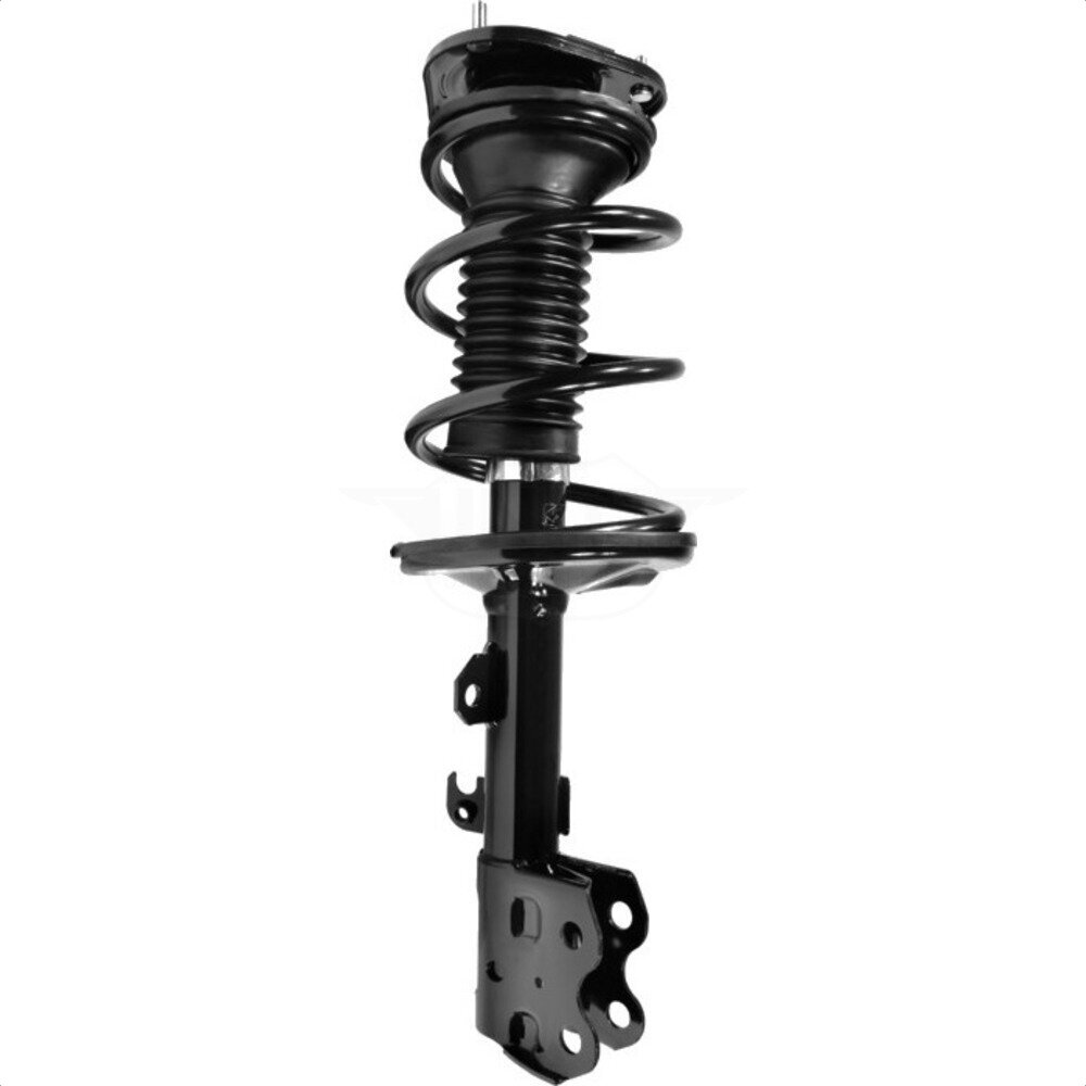 Suspension Strut Coil Spring Assembly