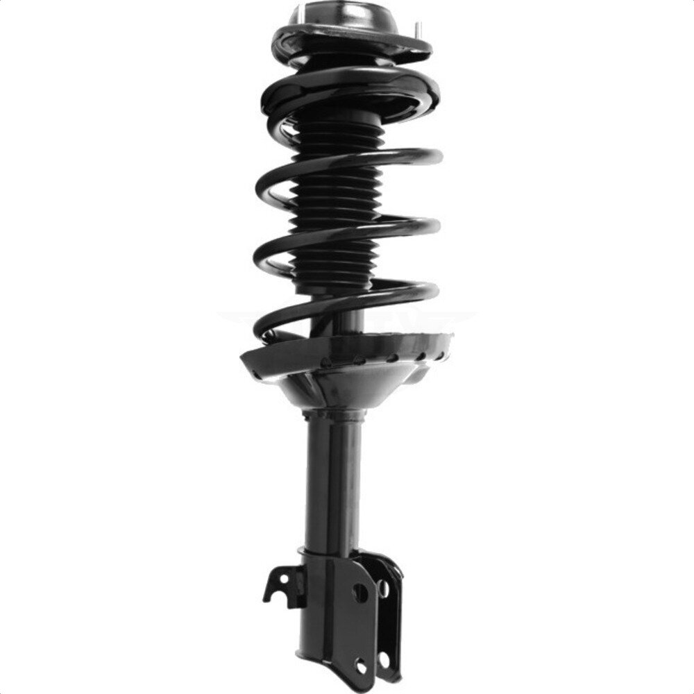 Suspension Strut Coil Spring Assembly