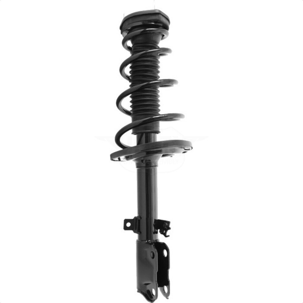 Suspension Strut Coil Spring Assembly