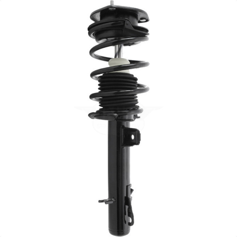 Suspension Strut Coil Spring Assembly