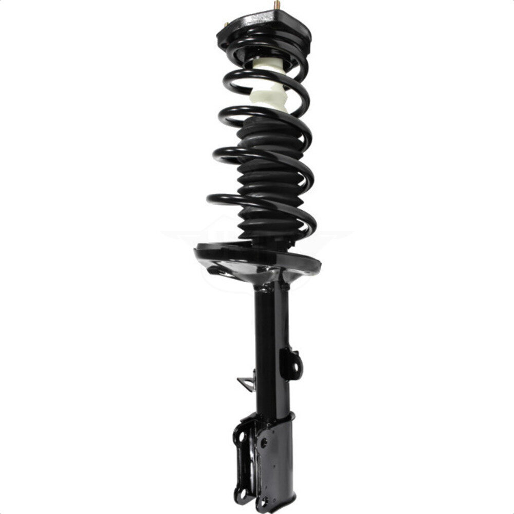 Suspension Strut Coil Spring Assembly
