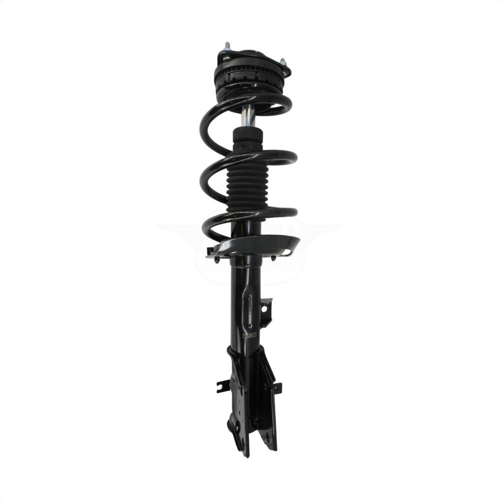 Suspension Strut Coil Spring Assembly