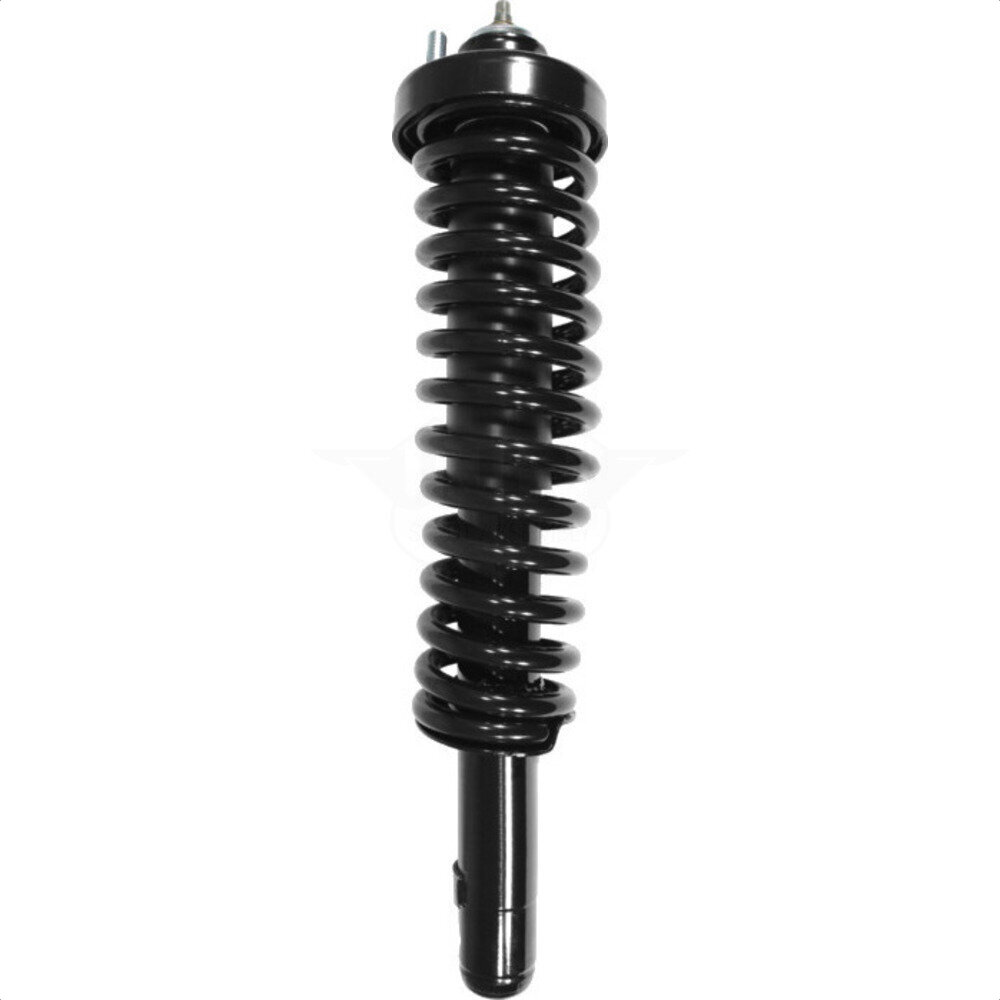 Suspension Strut Coil Spring Assembly