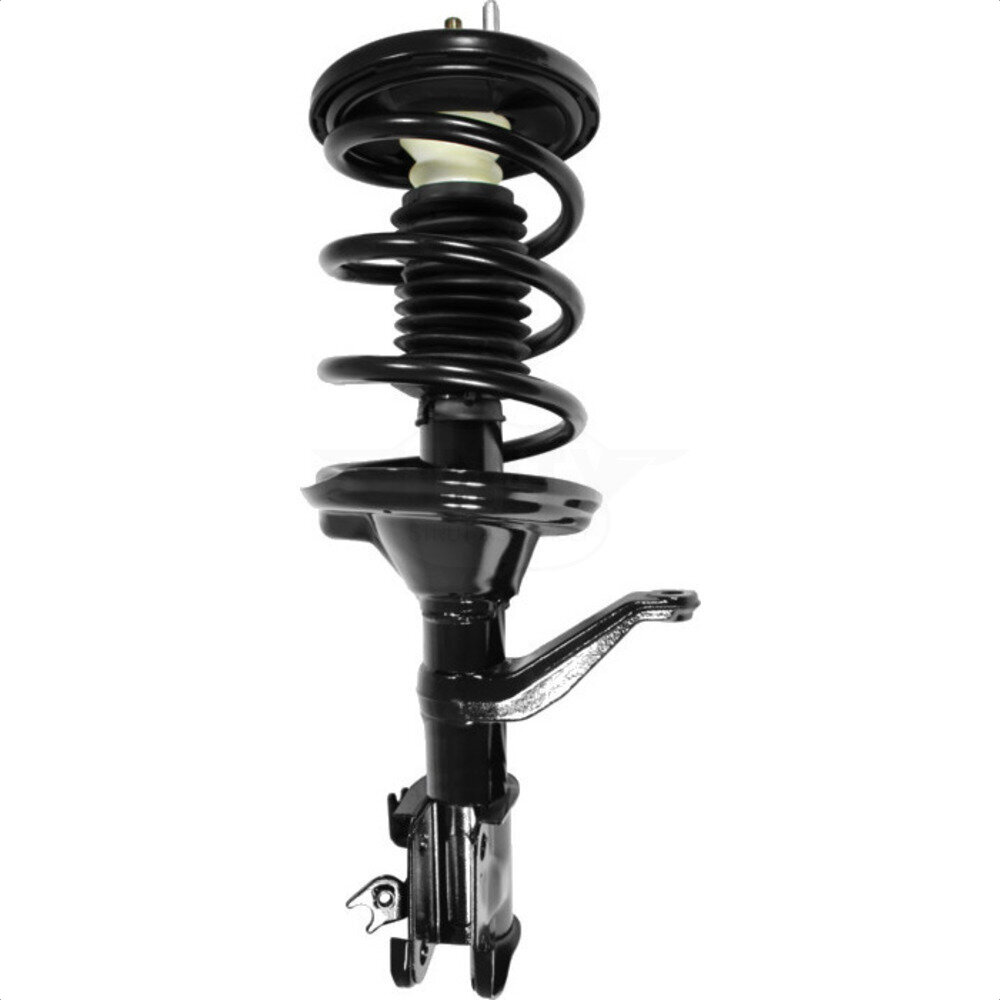 Suspension Strut Coil Spring Assembly