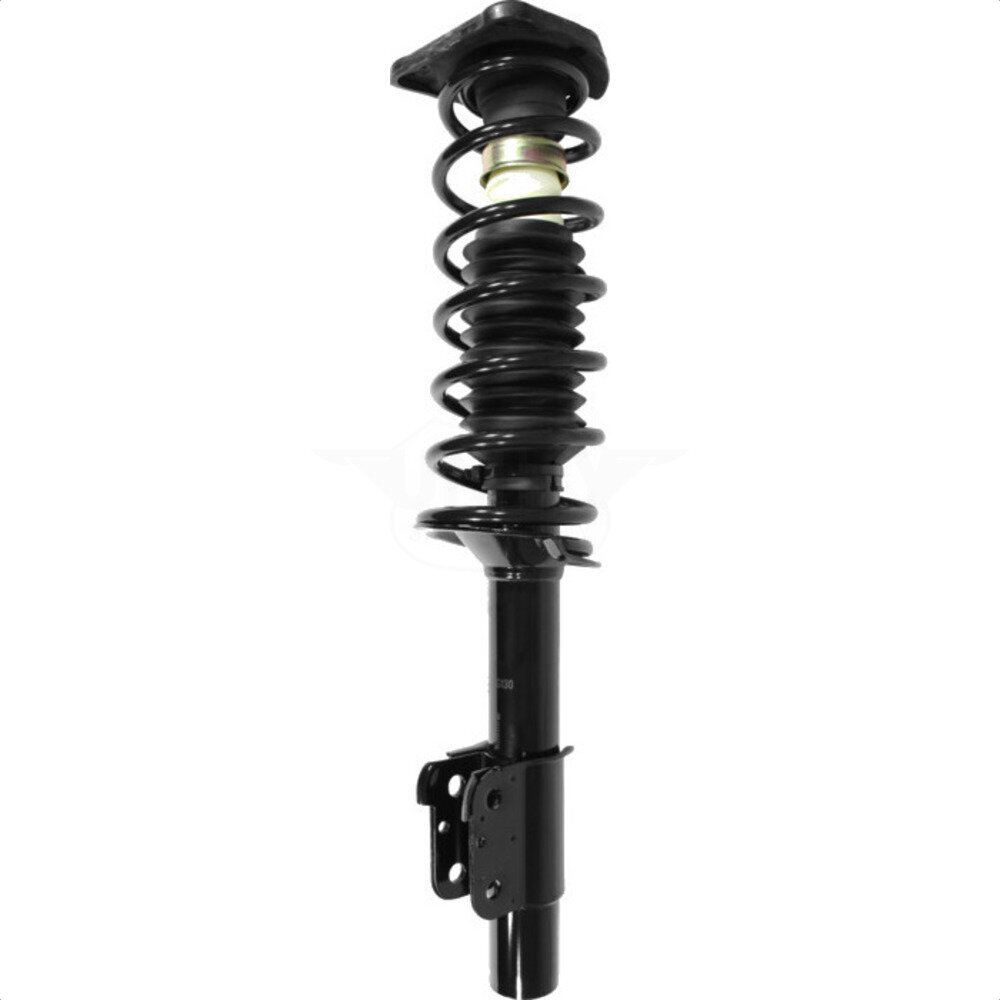 Suspension Strut Coil Spring Assembly
