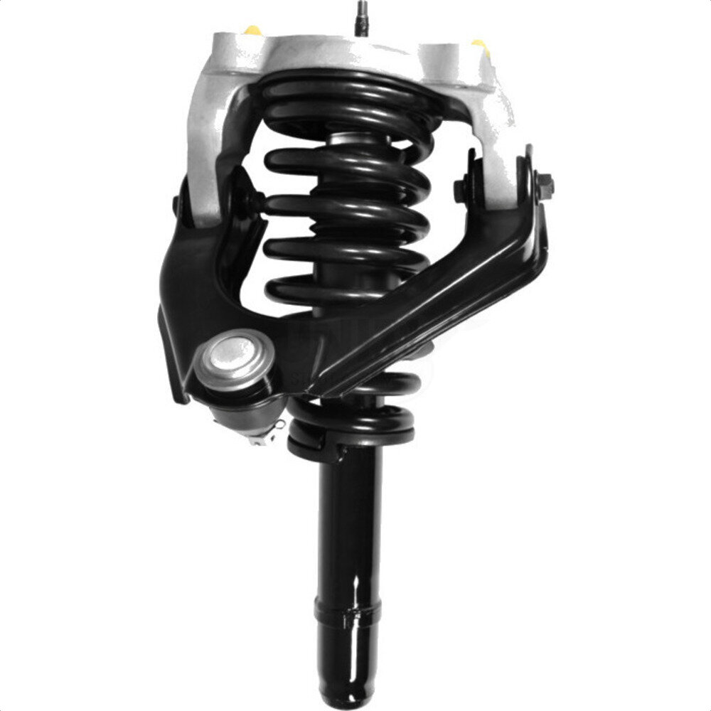Suspension Strut Coil Spring Assembly