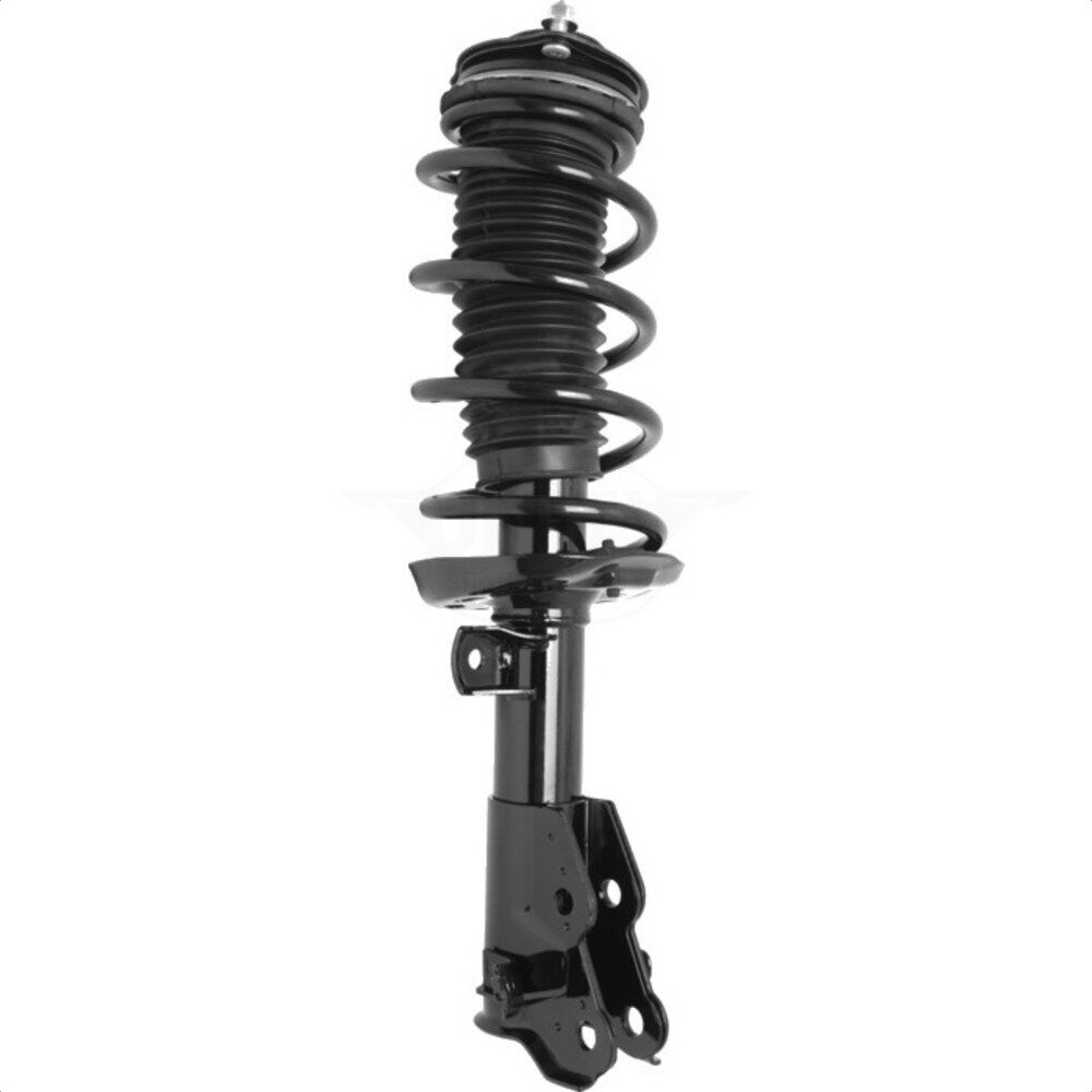 Suspension Strut Coil Spring Assembly