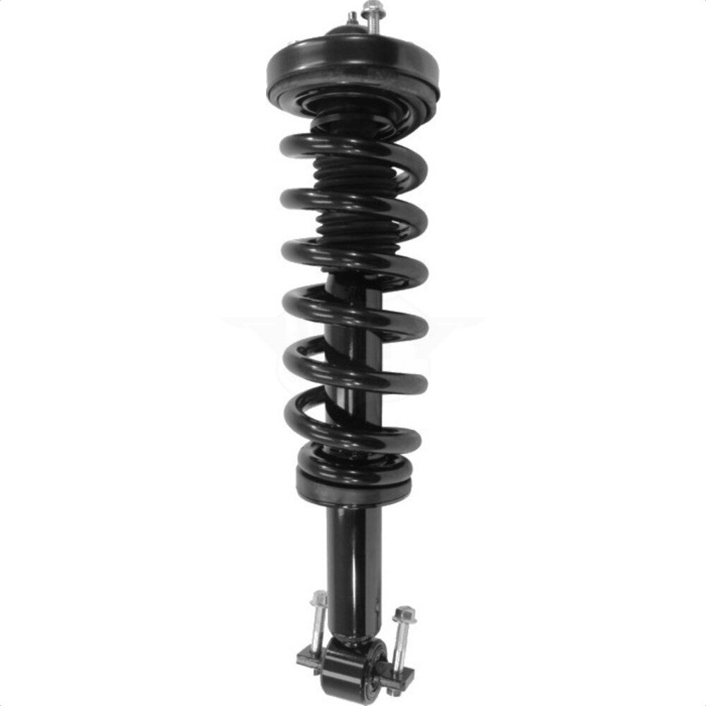 Suspension Strut Coil Spring Assembly