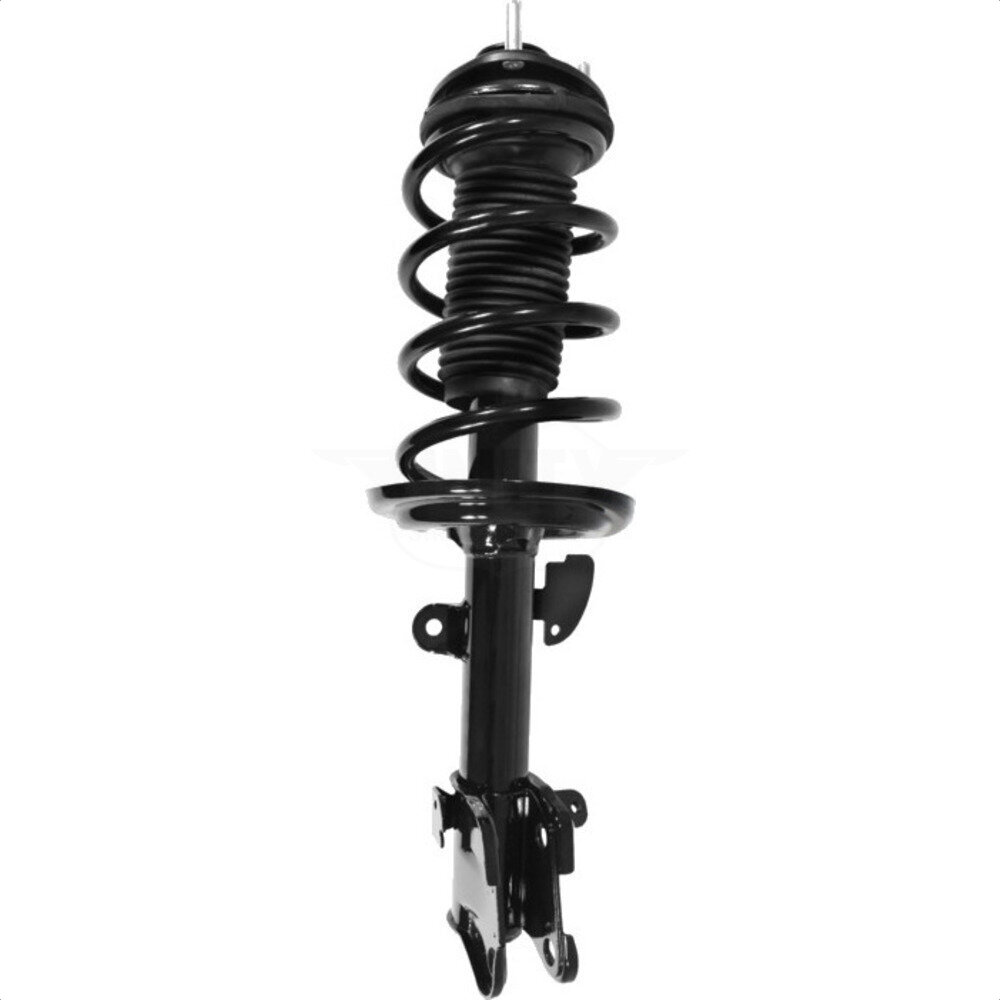 Suspension Strut Coil Spring Assembly