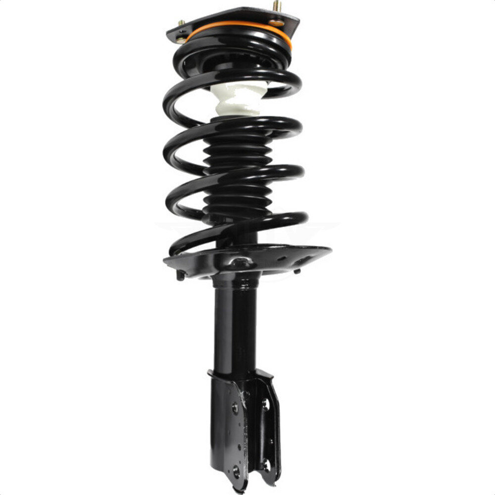 Suspension Strut Coil Spring Assembly