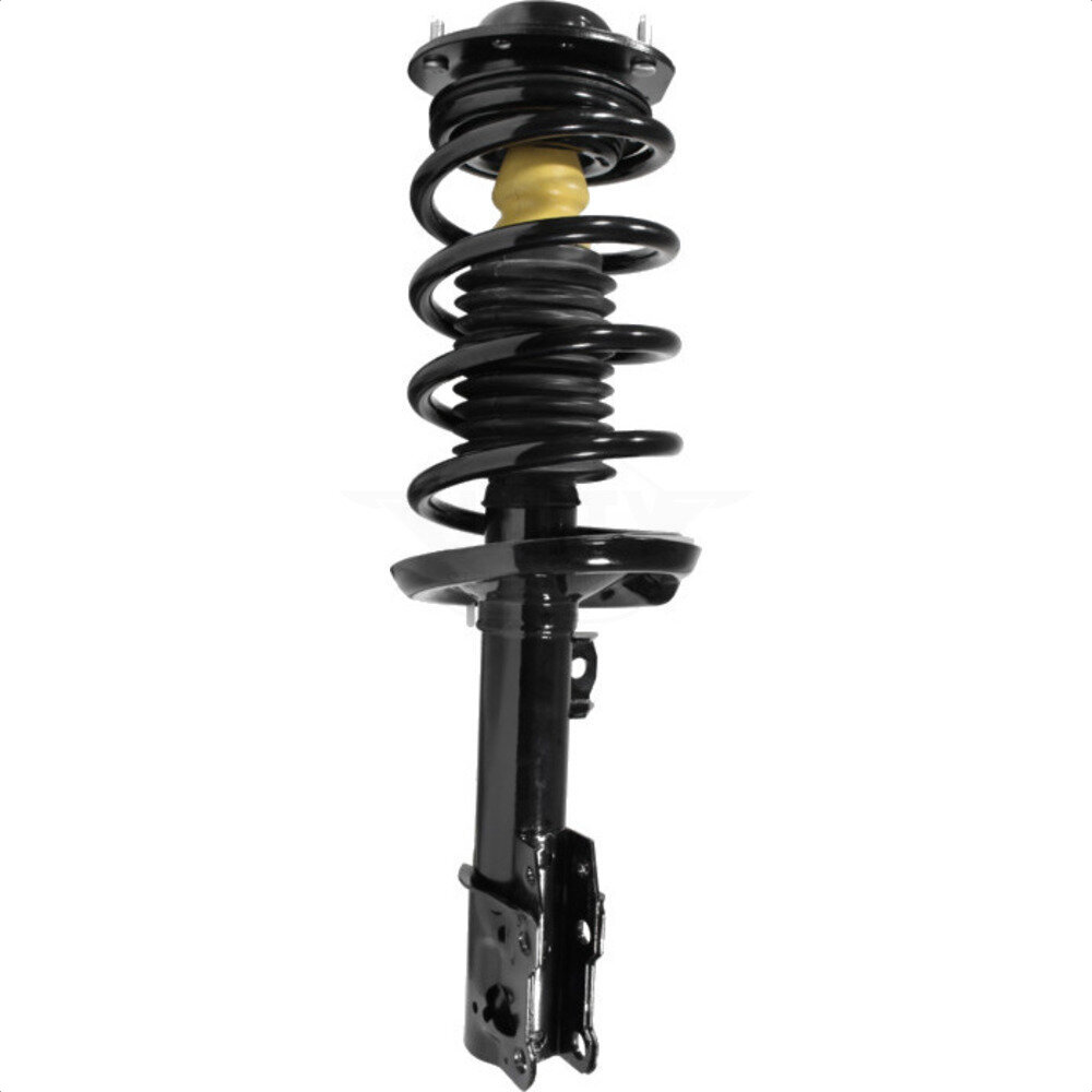 Suspension Strut Coil Spring Assembly