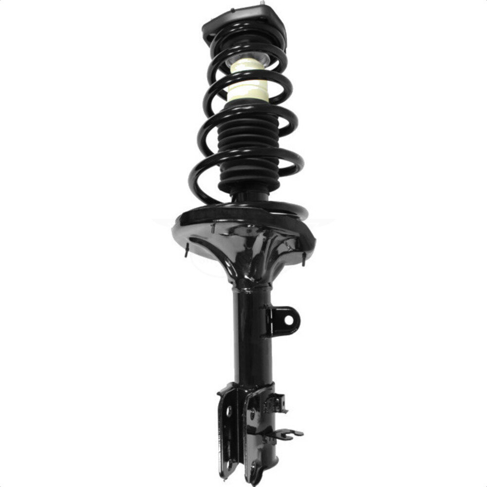 Suspension Strut Coil Spring Assembly
