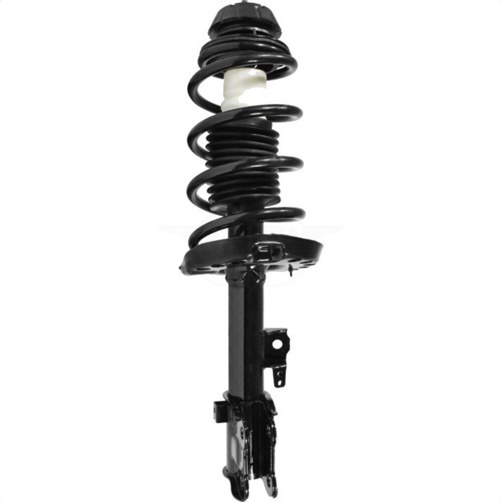 Suspension Strut Coil Spring Assembly