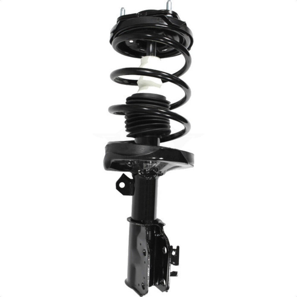 Suspension Strut Coil Spring Assembly