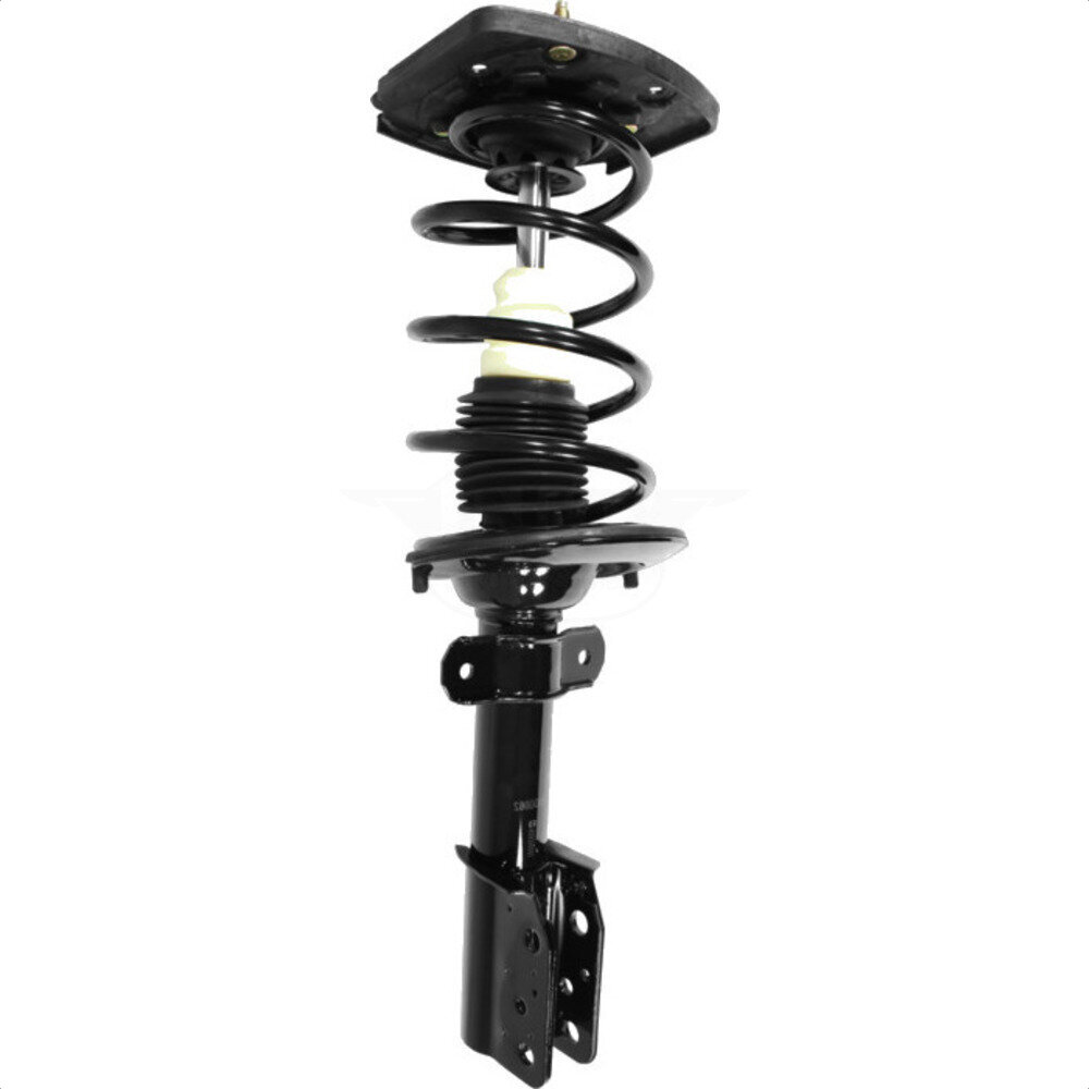 Suspension Strut Coil Spring Assembly