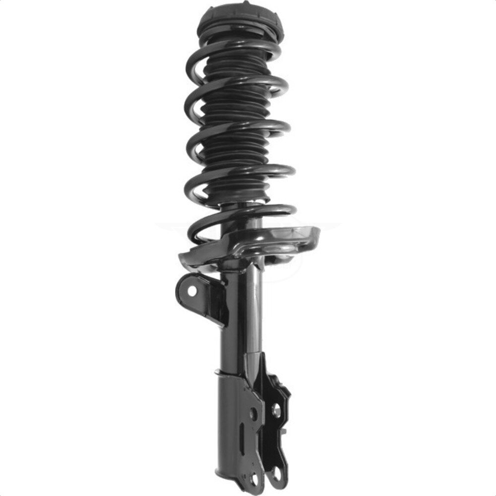 Suspension Strut Coil Spring Assembly
