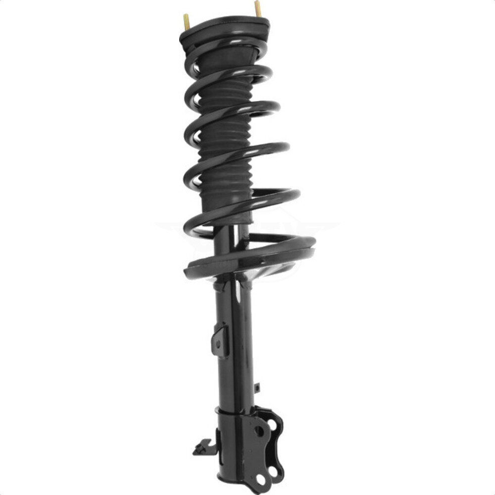 Suspension Strut Coil Spring Assembly