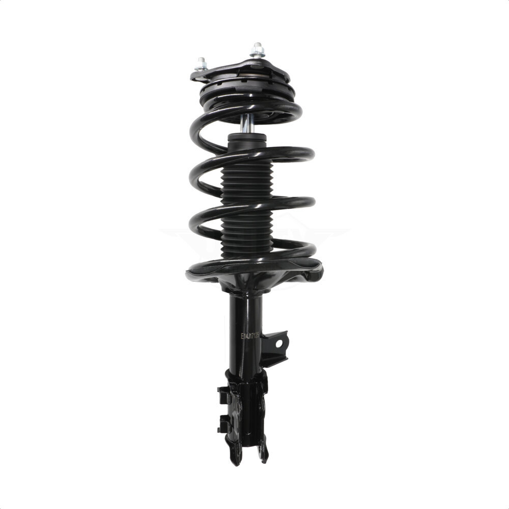 Suspension Strut Coil Spring Assembly