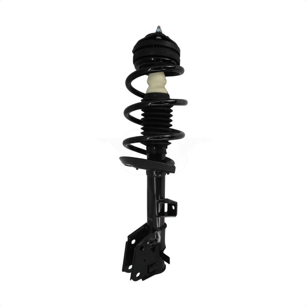 Suspension Strut Coil Spring Assembly