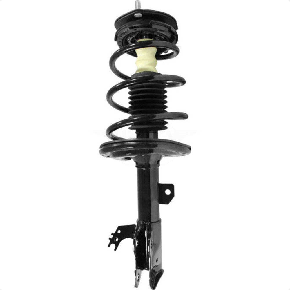 Suspension Strut Coil Spring Assembly