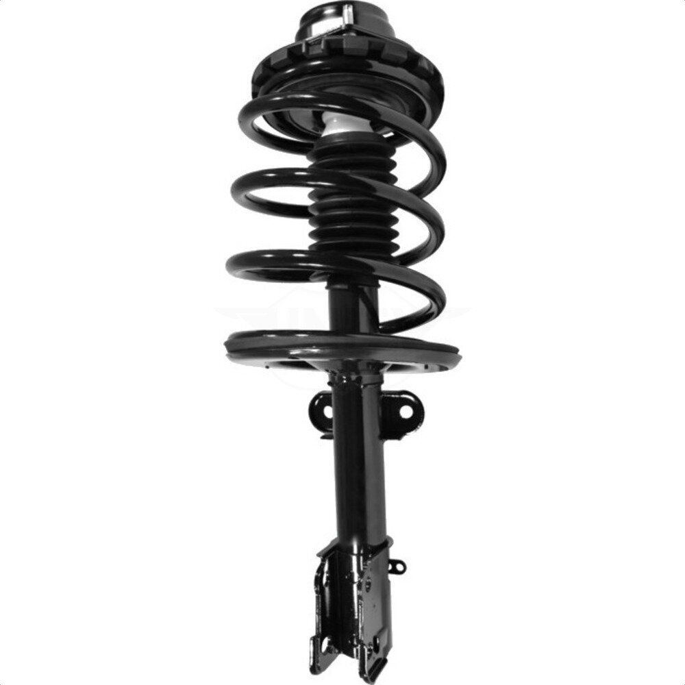 Suspension Strut Coil Spring Assembly