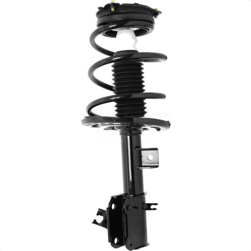 Suspension Strut Coil Spring Assembly