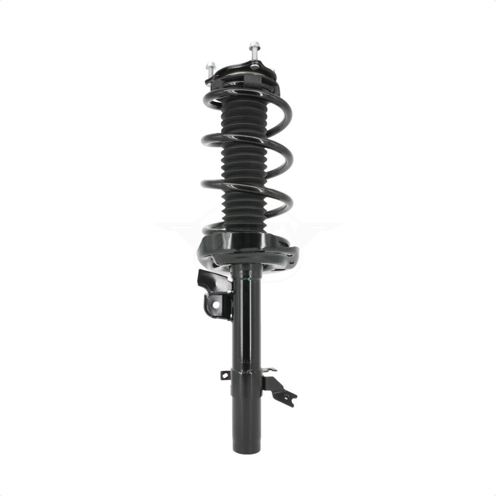 Suspension Strut Coil Spring Assembly