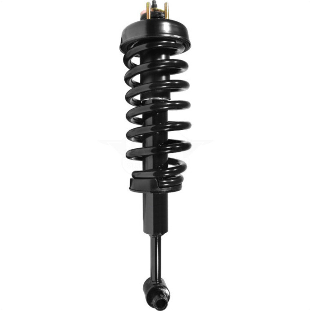 Suspension Strut Coil Spring Assembly
