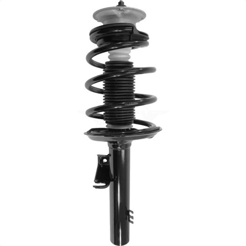 Suspension Strut Coil Spring Assembly