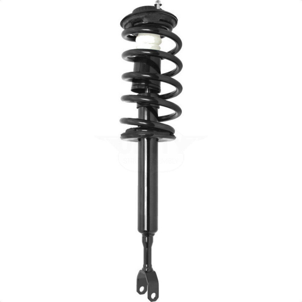 Suspension Strut Coil Spring Assembly