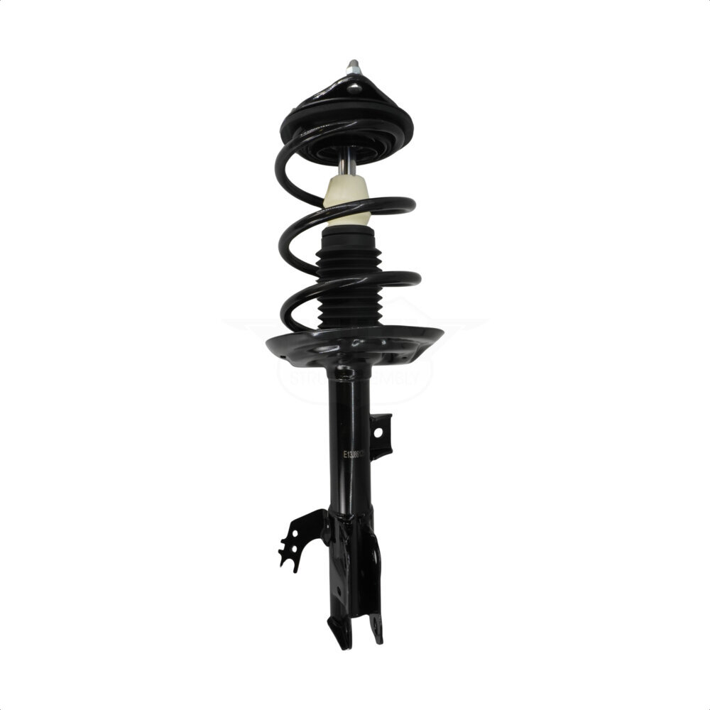 Suspension Strut Coil Spring Assembly