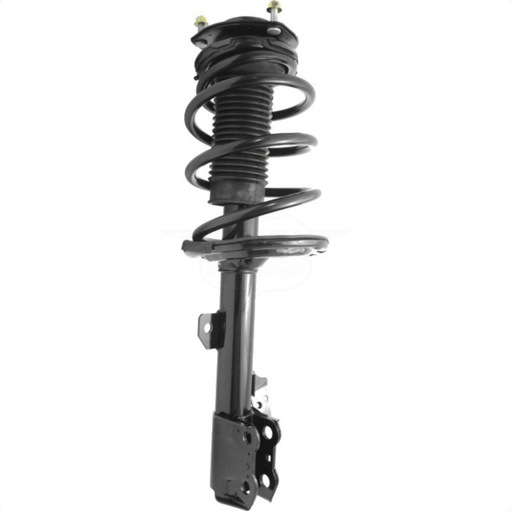 Suspension Strut Coil Spring Assembly