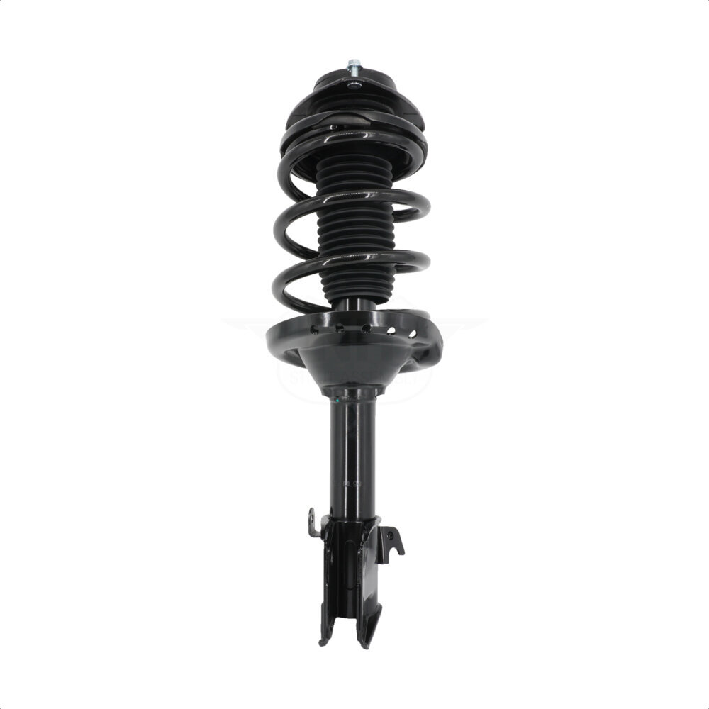 Suspension Strut Coil Spring Assembly