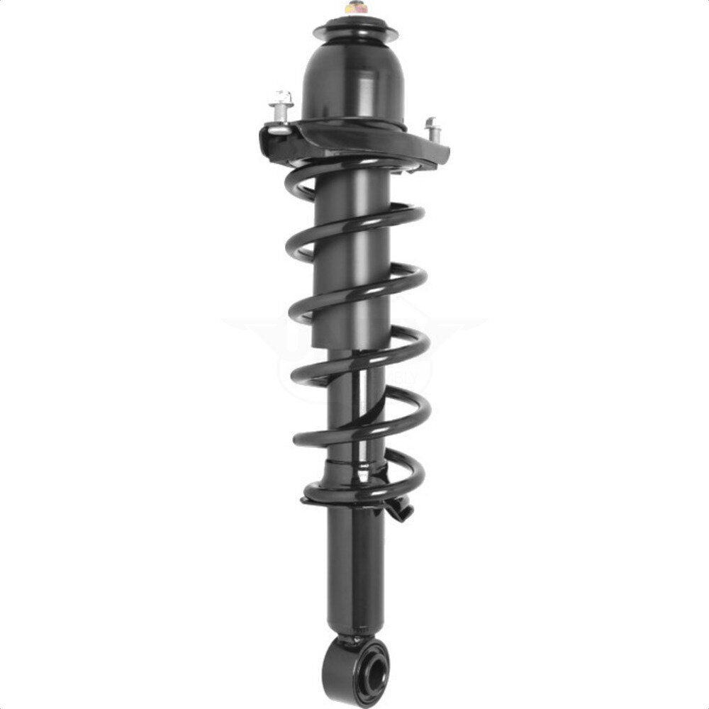 Suspension Strut Coil Spring Assembly