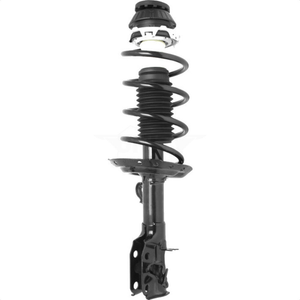 Suspension Strut Coil Spring Assembly