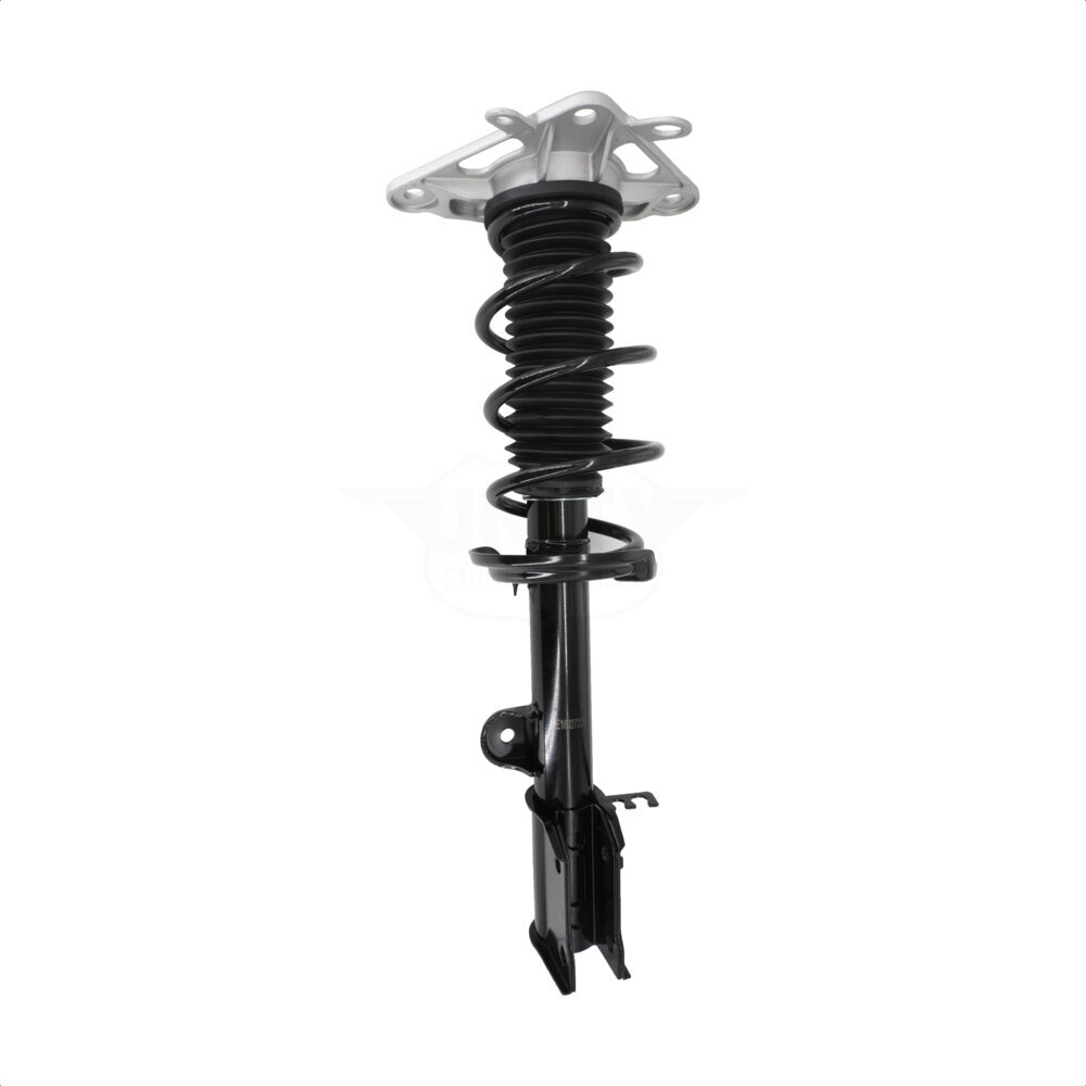 Suspension Strut Coil Spring Assembly