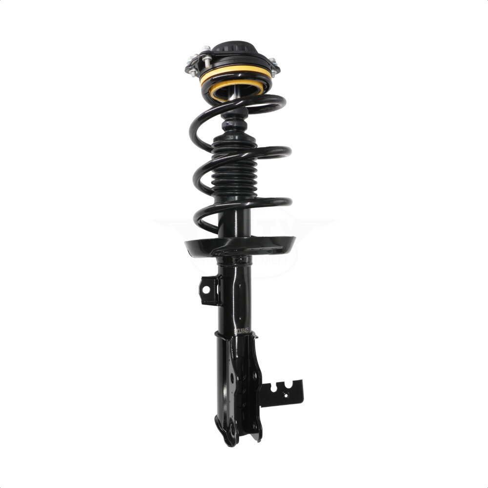 Suspension Strut Coil Spring Assembly