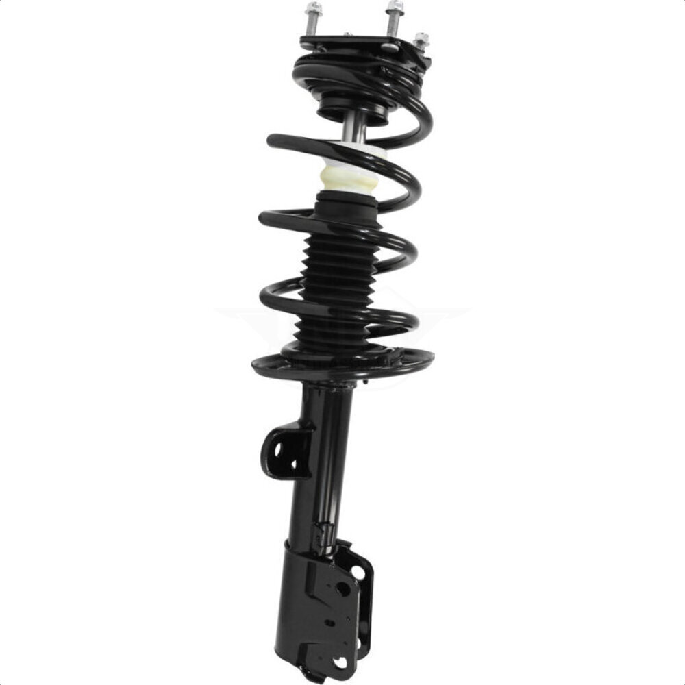 Suspension Strut Coil Spring Assembly