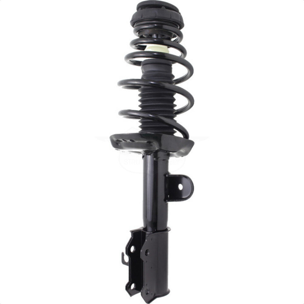 Suspension Strut Coil Spring Assembly